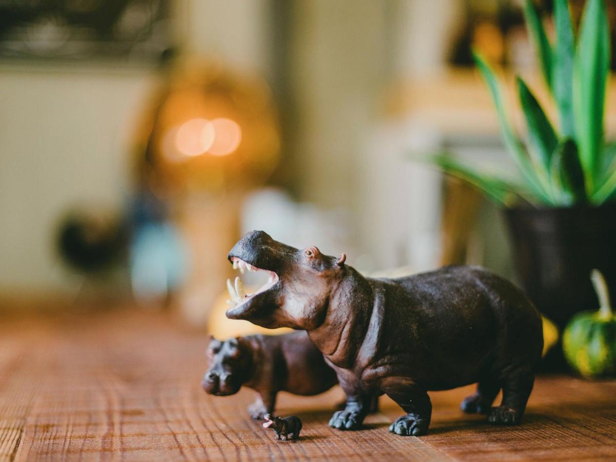 Hippo Hostel And Cafe Bar 大阪市 エクステリア 写真